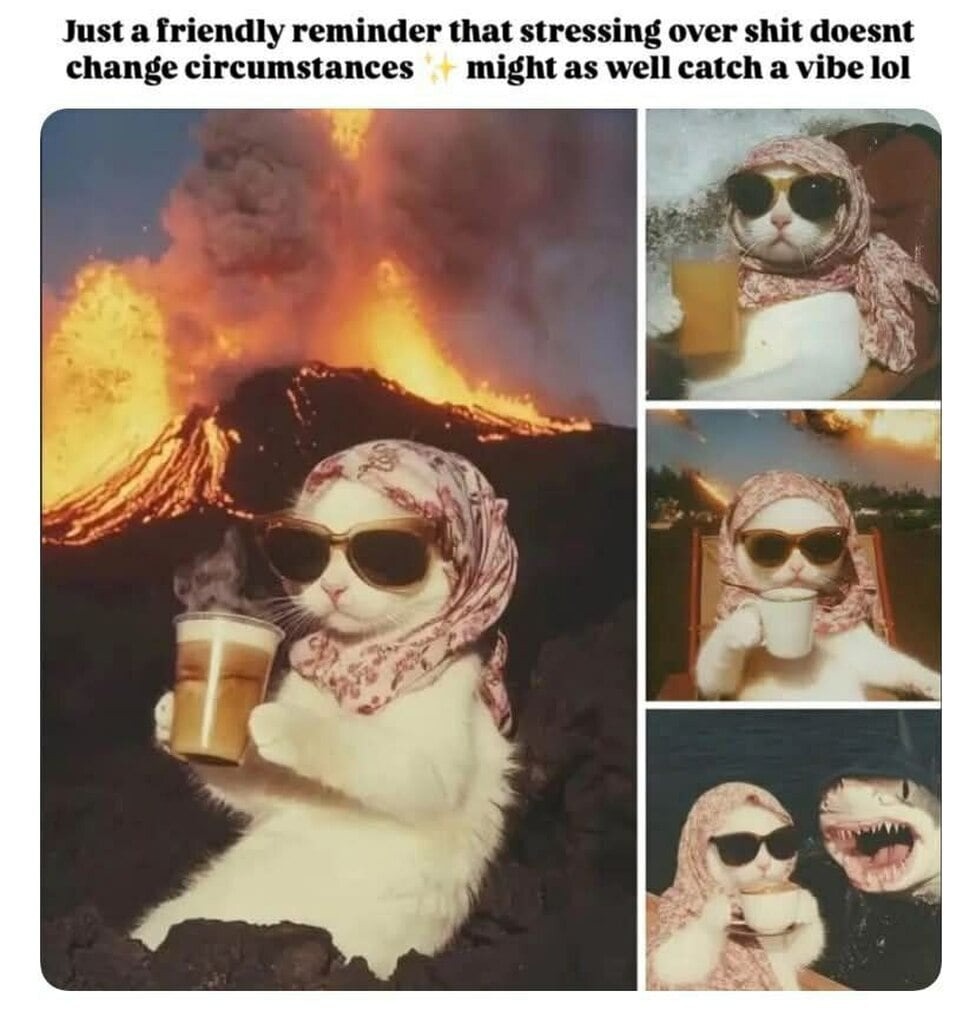 I will survive - meme