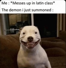 school - meme