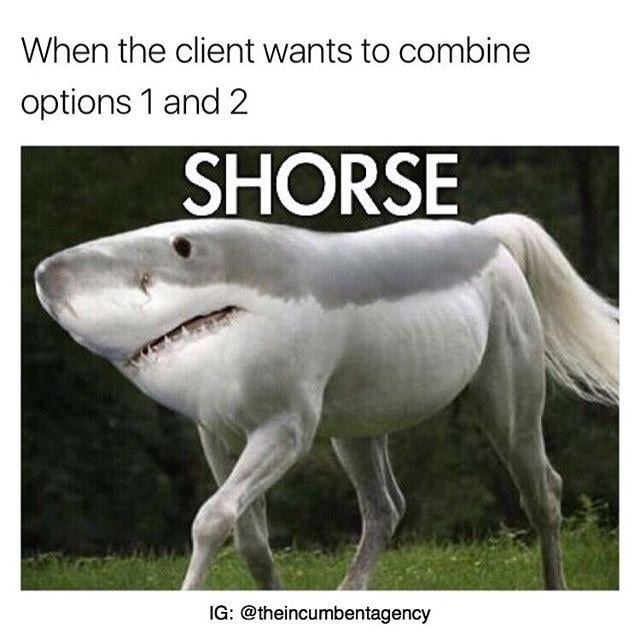 Client: I want option 1 and 2. Designer: So... horse? - meme