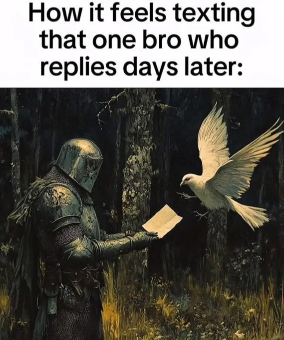lol - meme
