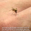 easy way to get rid of a mosquito bite.