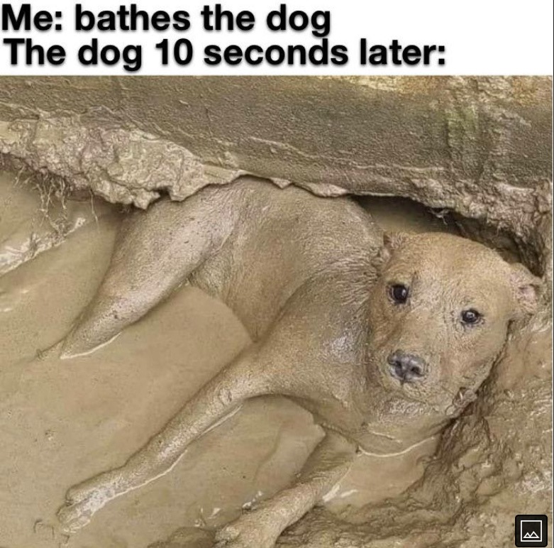 muddy doggo - meme