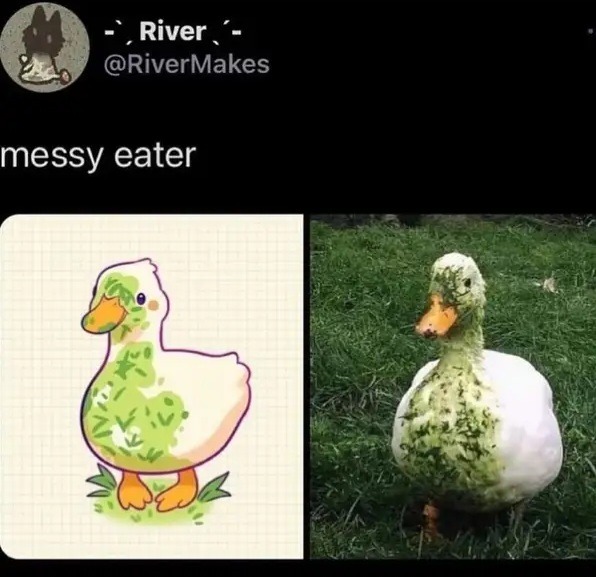 So cute - meme