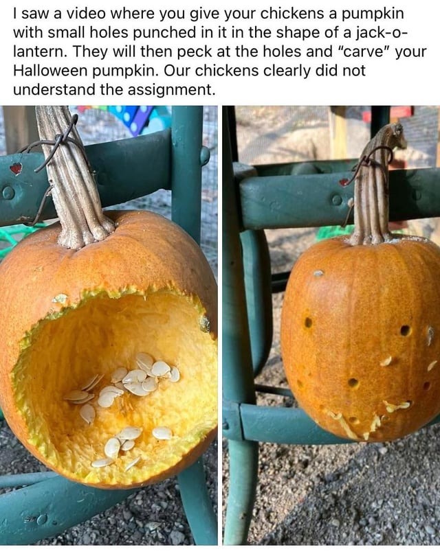 Halloween pumpkin meme