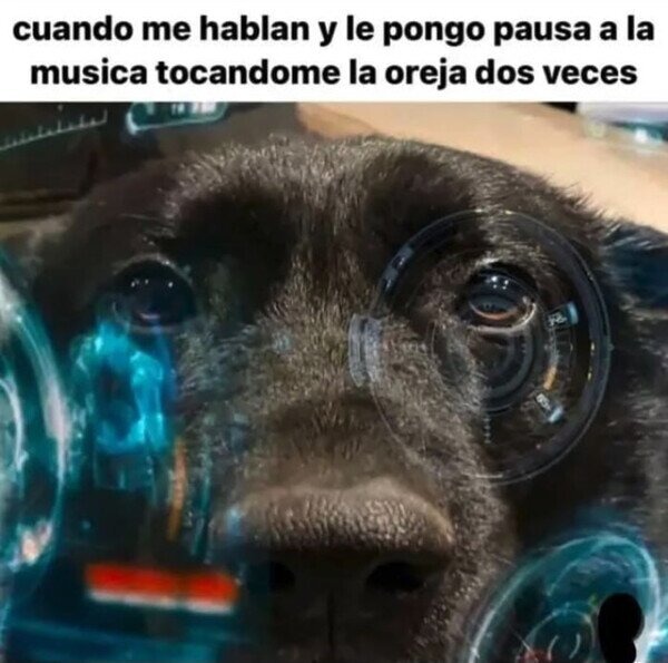 Siri, pausa la música - meme