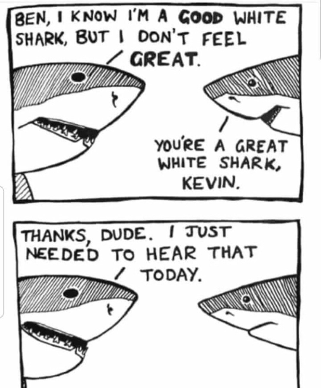 Shark people - meme