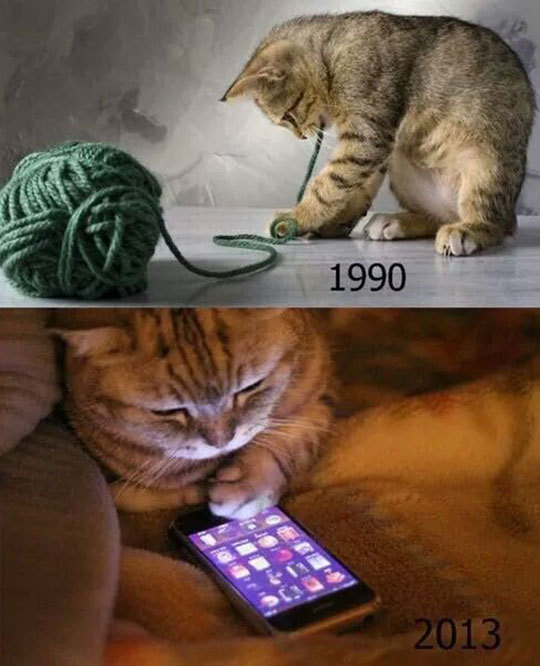 I liked yarn before it was cool - meme