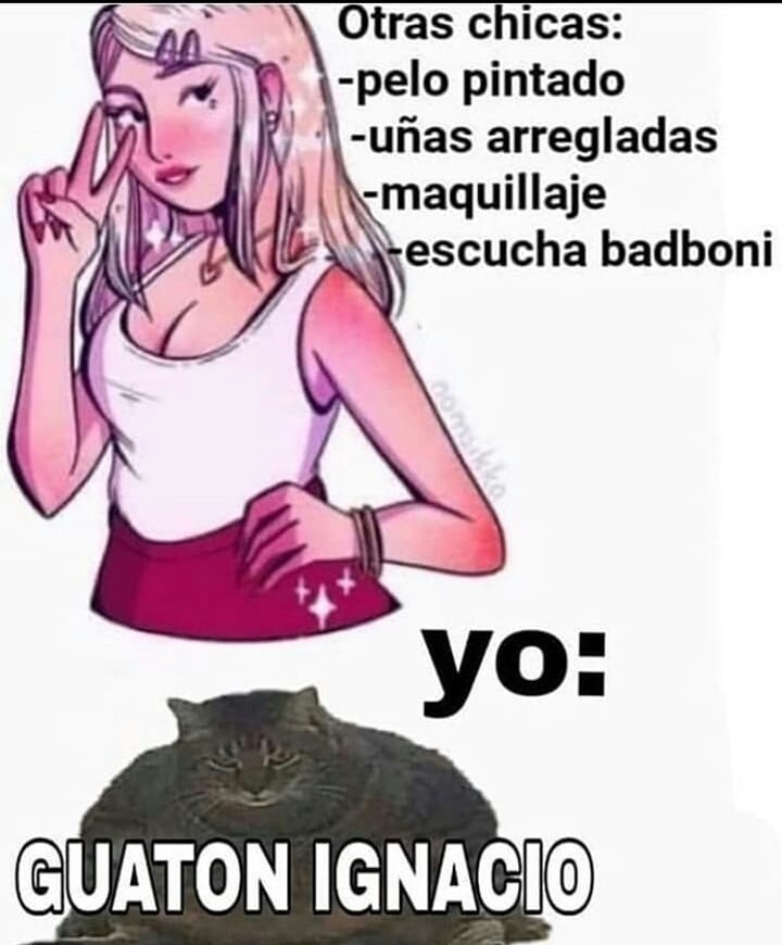 Guaton ignacio - meme