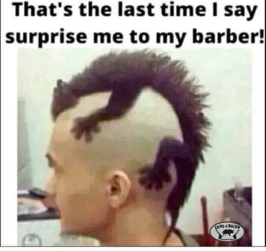 The best Haircut memes :) Memedroid