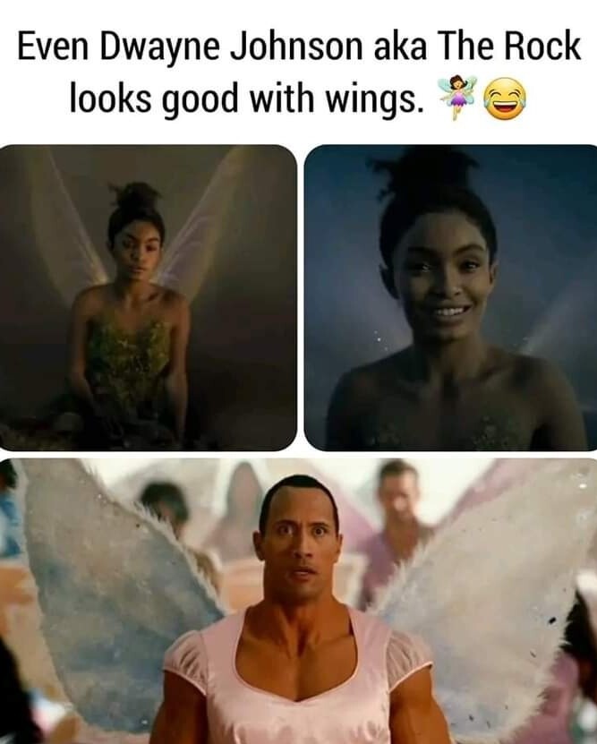 TinkerBell The Rock - meme