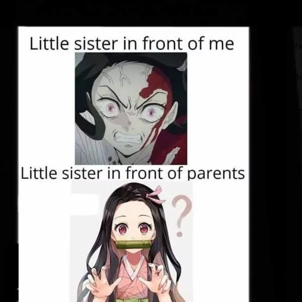 Siblings - meme
