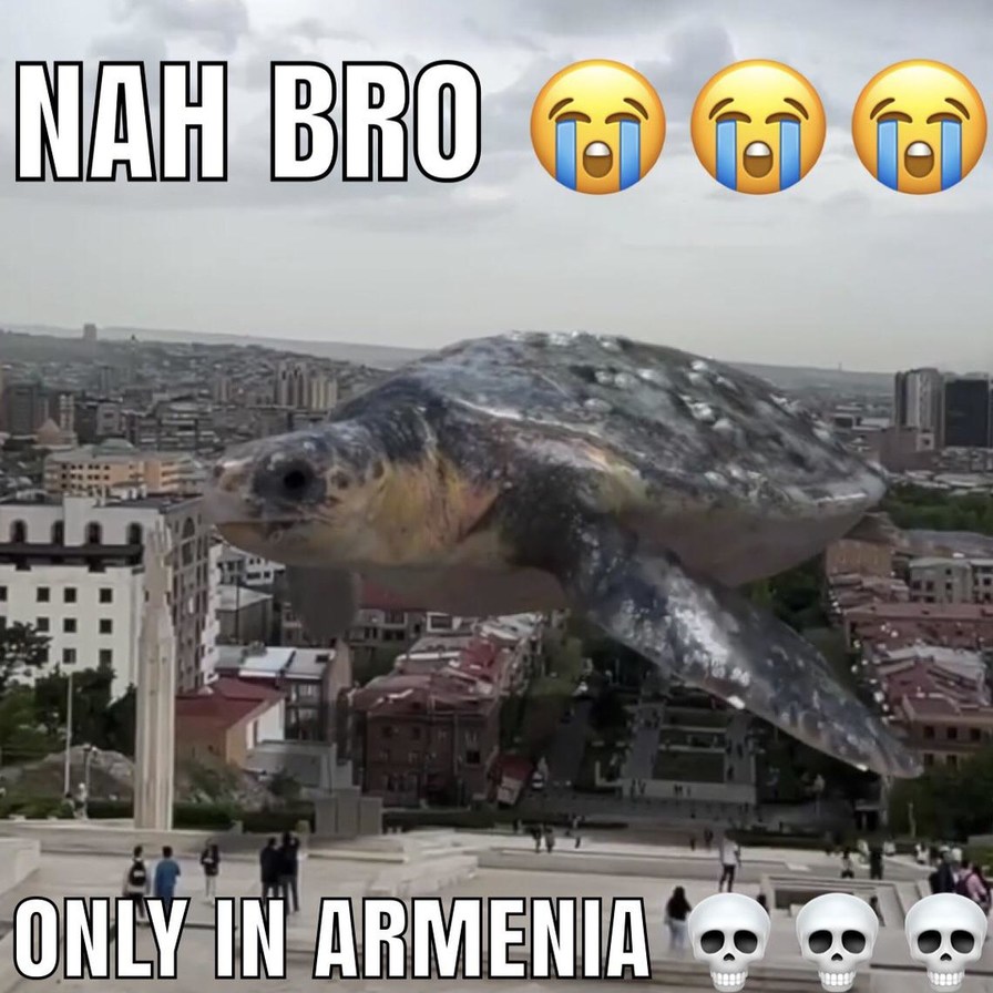Armenia moment - meme