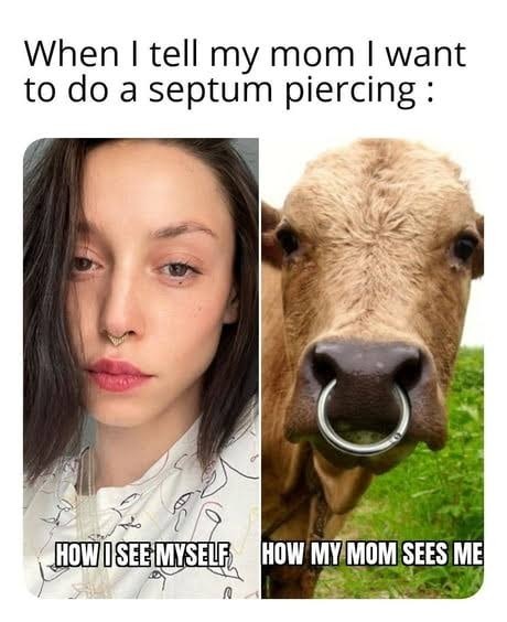 Chicas, lo siento mucho pero la perforación Septum no es nada agractiva y a la mayoria de los hombres no le gusta. No tiene chiste y parecen vacas o toros de corral. - meme