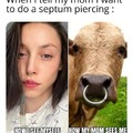 Chicas, lo siento mucho pero la perforación Septum no es nada agractiva y a la mayoria de los hombres no le gusta. No tiene chiste y parecen vacas o toros de corral.