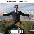 Bird flu 2024 meme