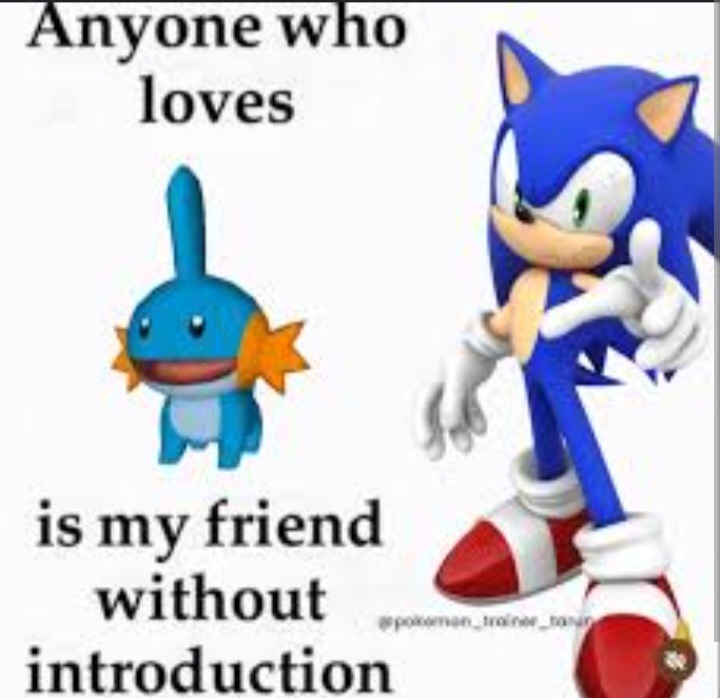 Mudkip da best starter - meme