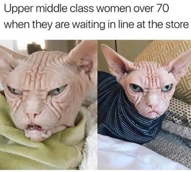 Upper middle class women over 70 when they are waiting in line at the store - meme