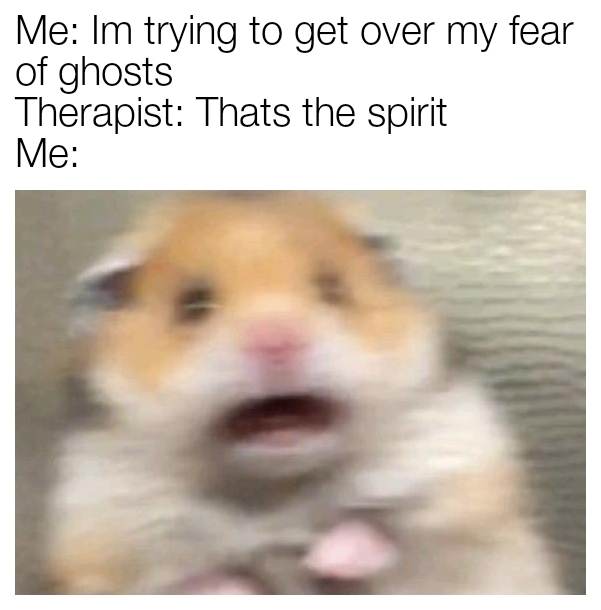 I'm trying to get over my fear of ghosts - meme