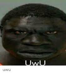 UWU - meme