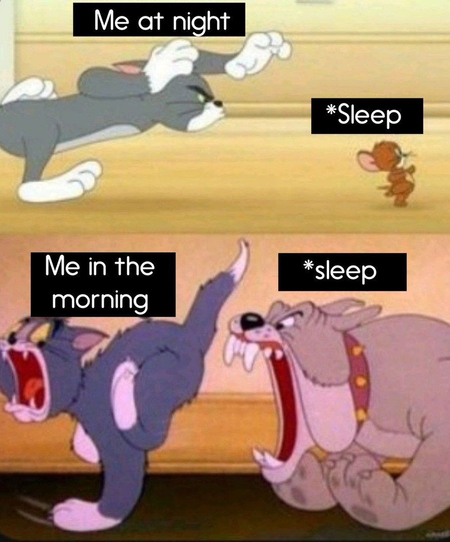 Sleep - meme