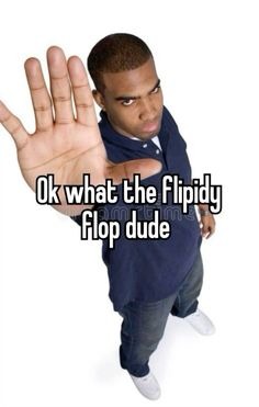 What the flippy flop - meme