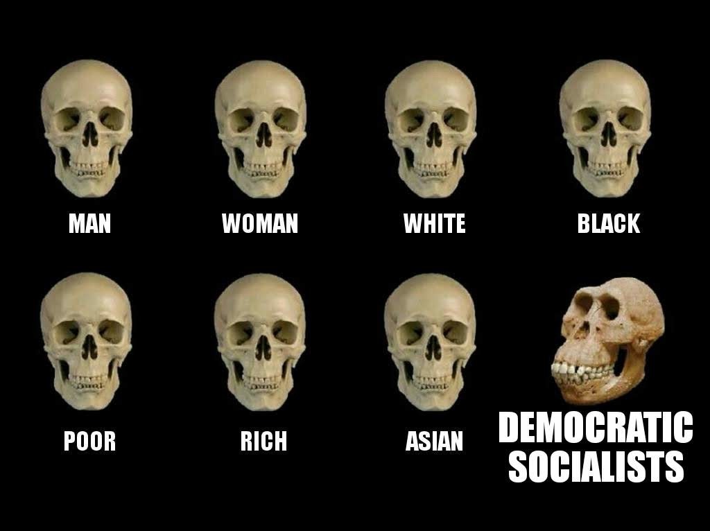 Trust the Science - meme