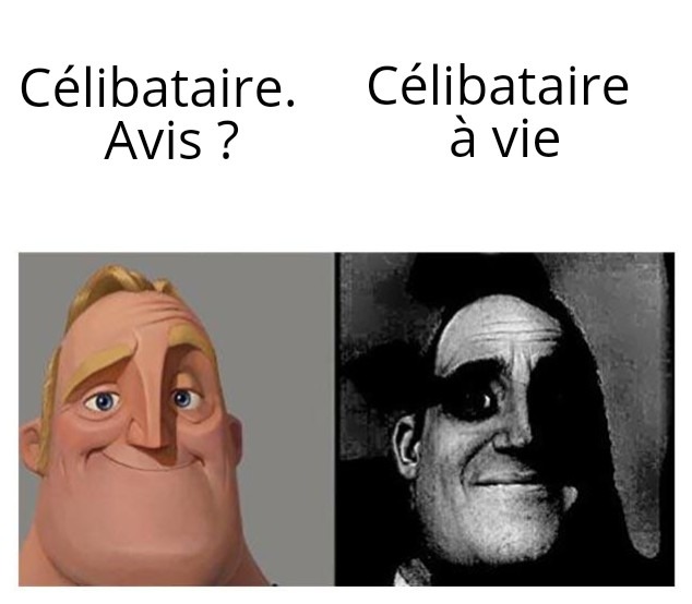 2ème option, pour moi - meme