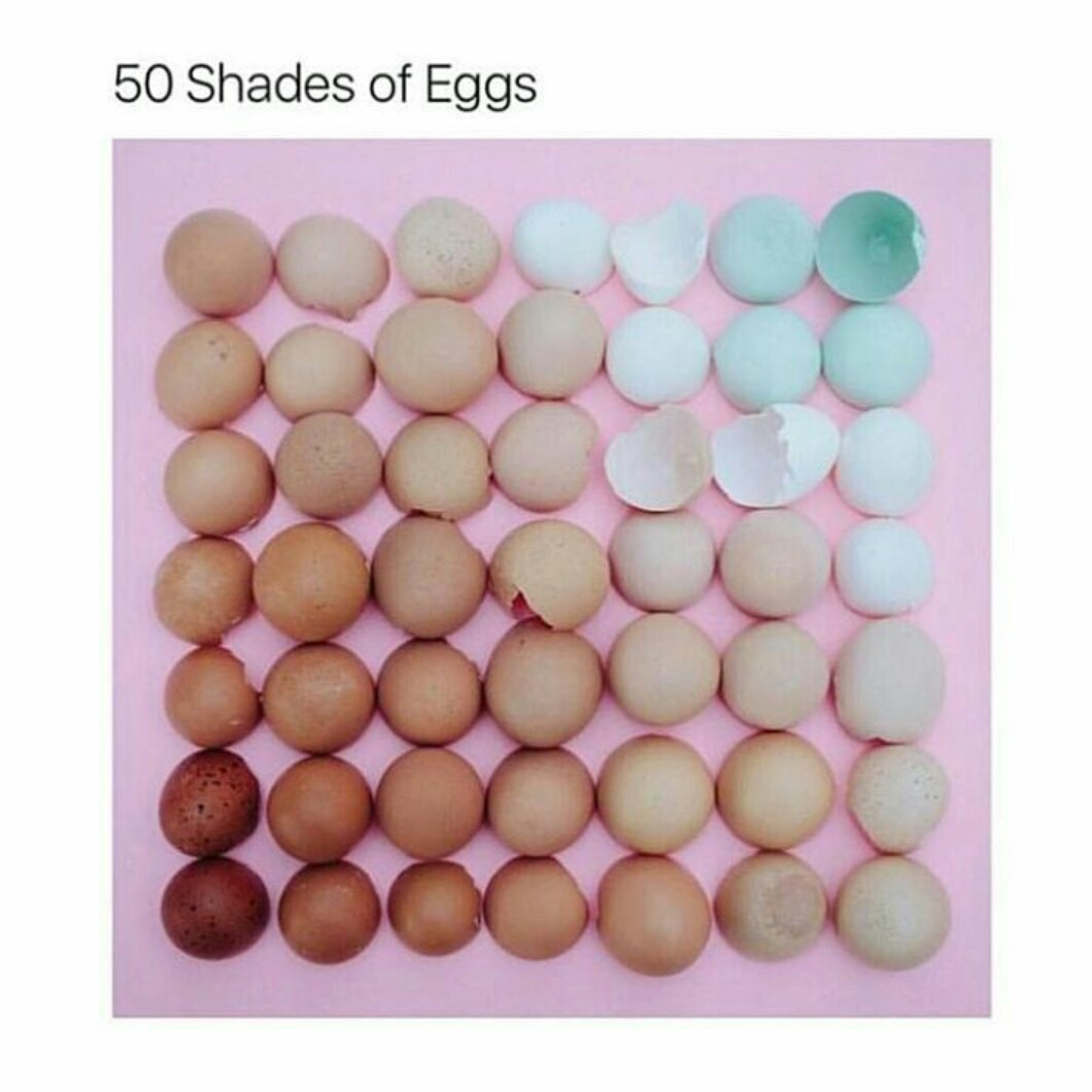 Ovos, ovos grandes, pequenos e macios - meme