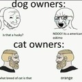 Chads have cats