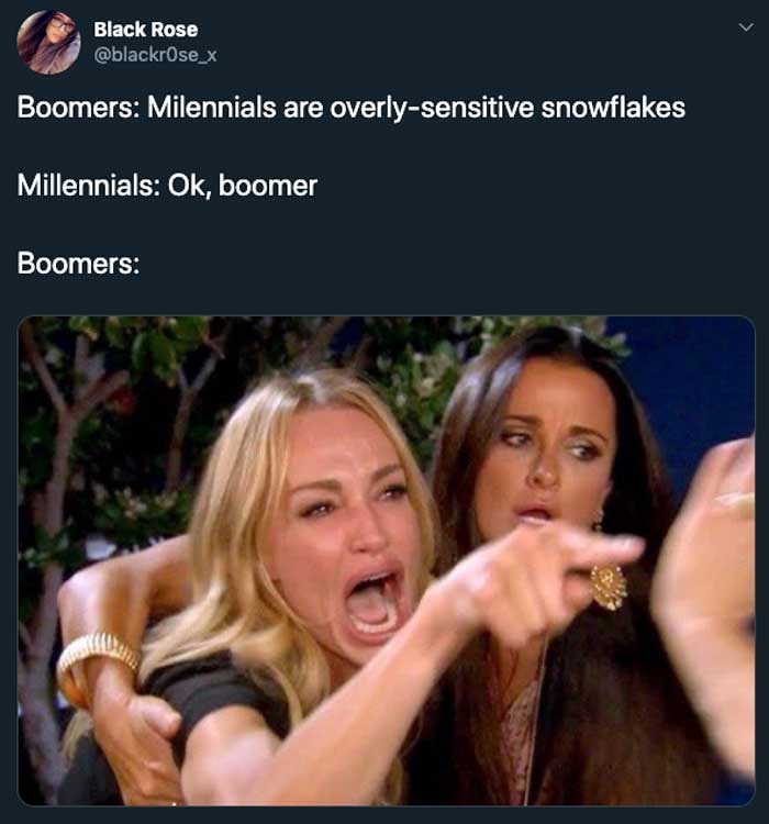 OK Boomer - meme