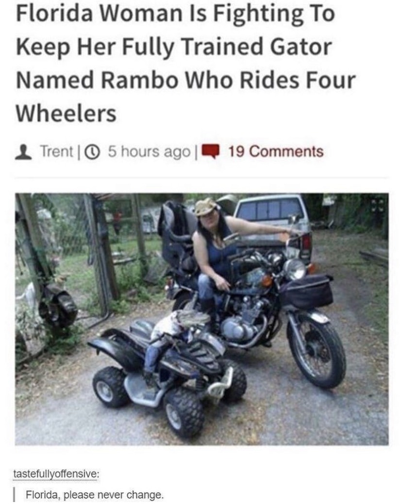 gator rider meme