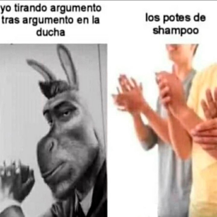 memes burro - Buscar con Google  Burro de shrek, Memes para reir, Shrek