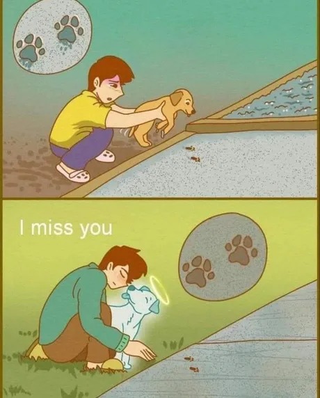 Goodbye my doggo friend - meme