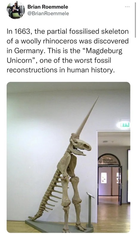 Unicorn fossil - meme