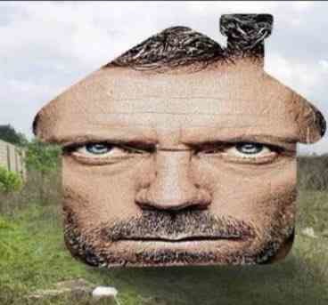 House - meme