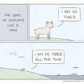 Take a nap dumb goat!