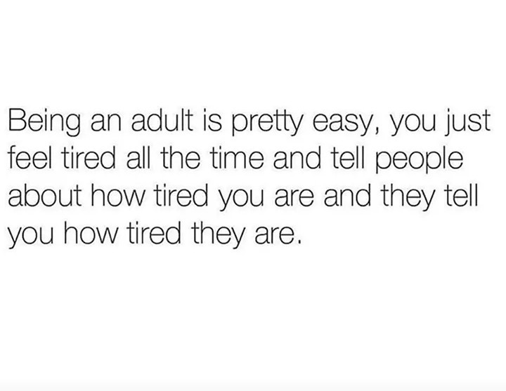Adulting you're doing it right - meme