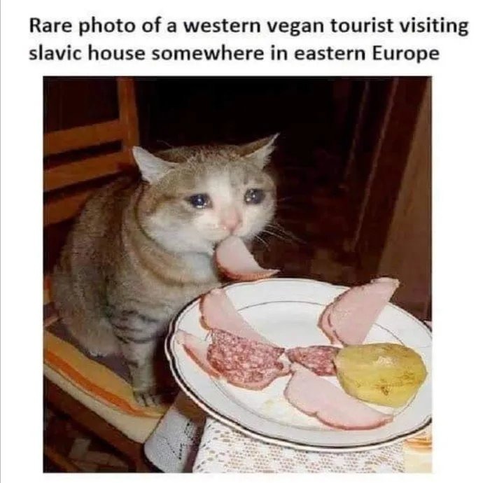 Vegans in Eastern Europe - meme