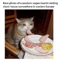 Vegans in Eastern Europe