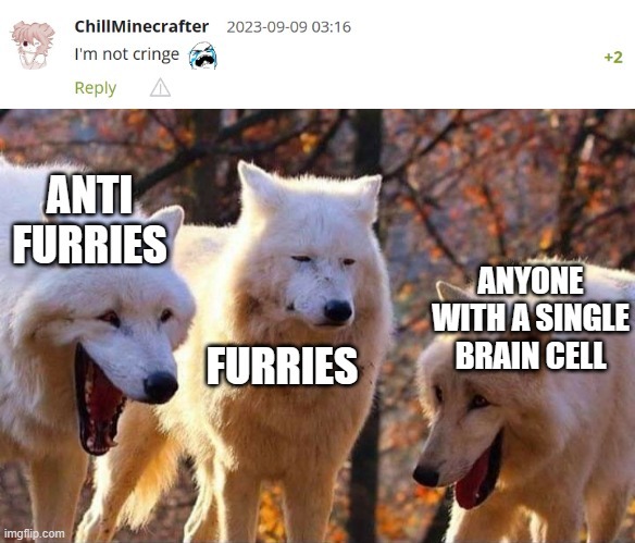 not furry - Meme by besterminer :) Memedroid