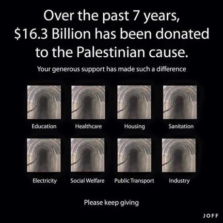 Donations to the Palestinian cause - meme