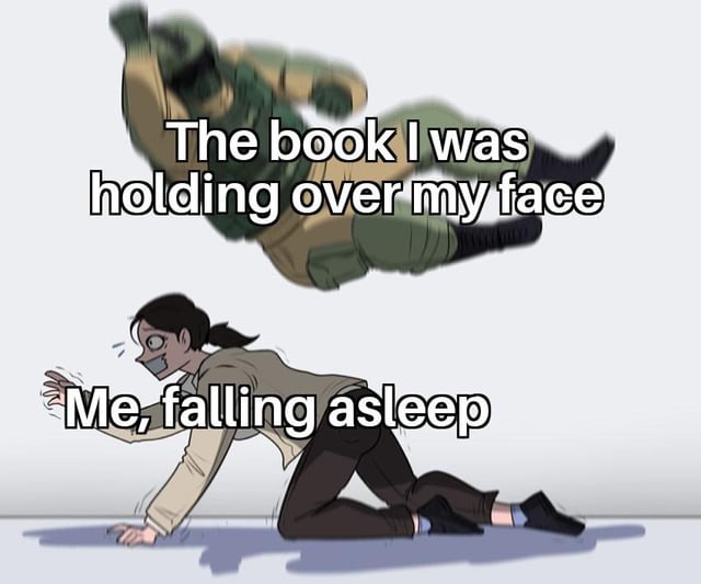 Reading in bed - meme