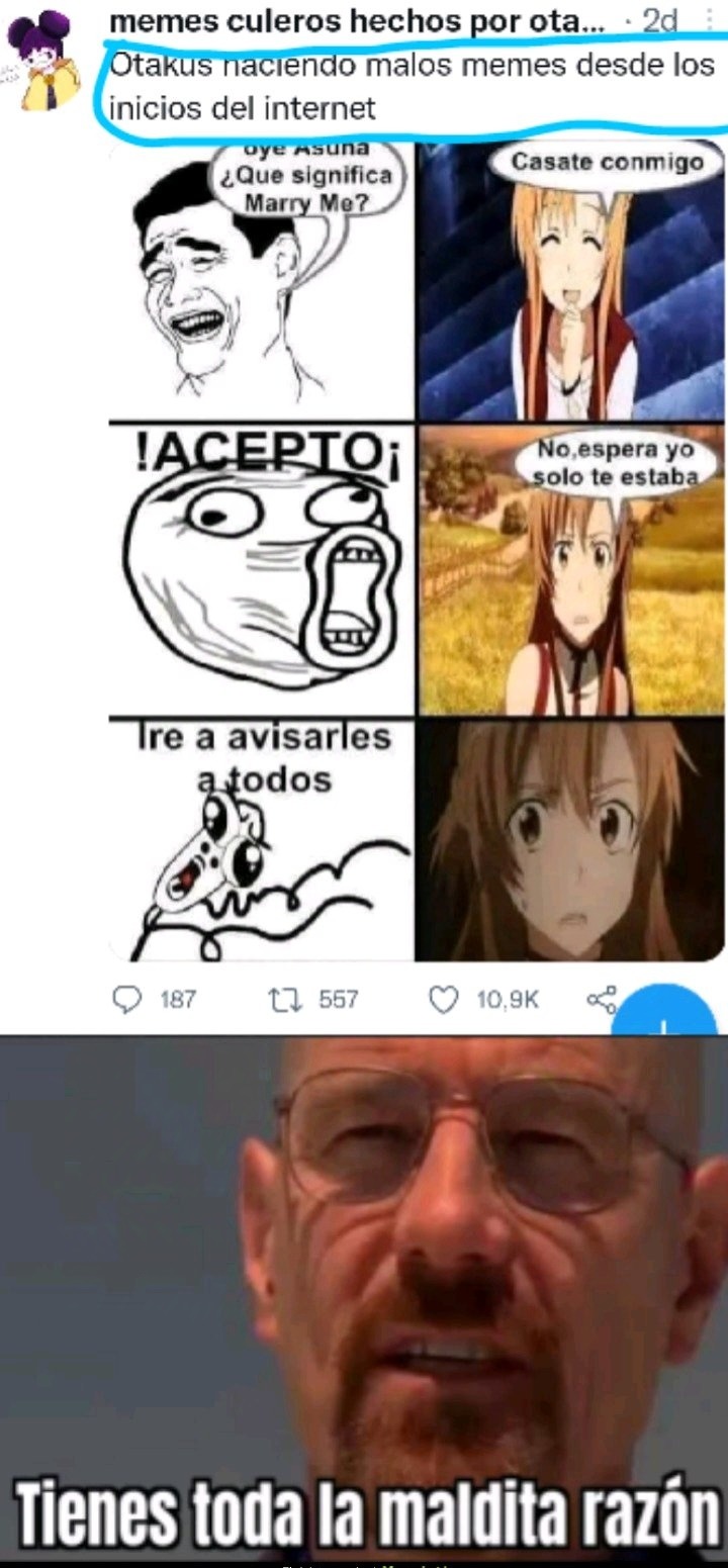 El anime fue un error - meme