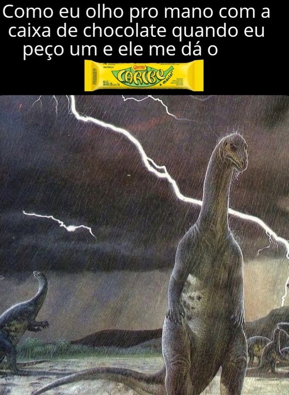Pau no cu de quem não gosta de Lolló - meme