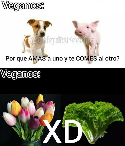 XD - meme
