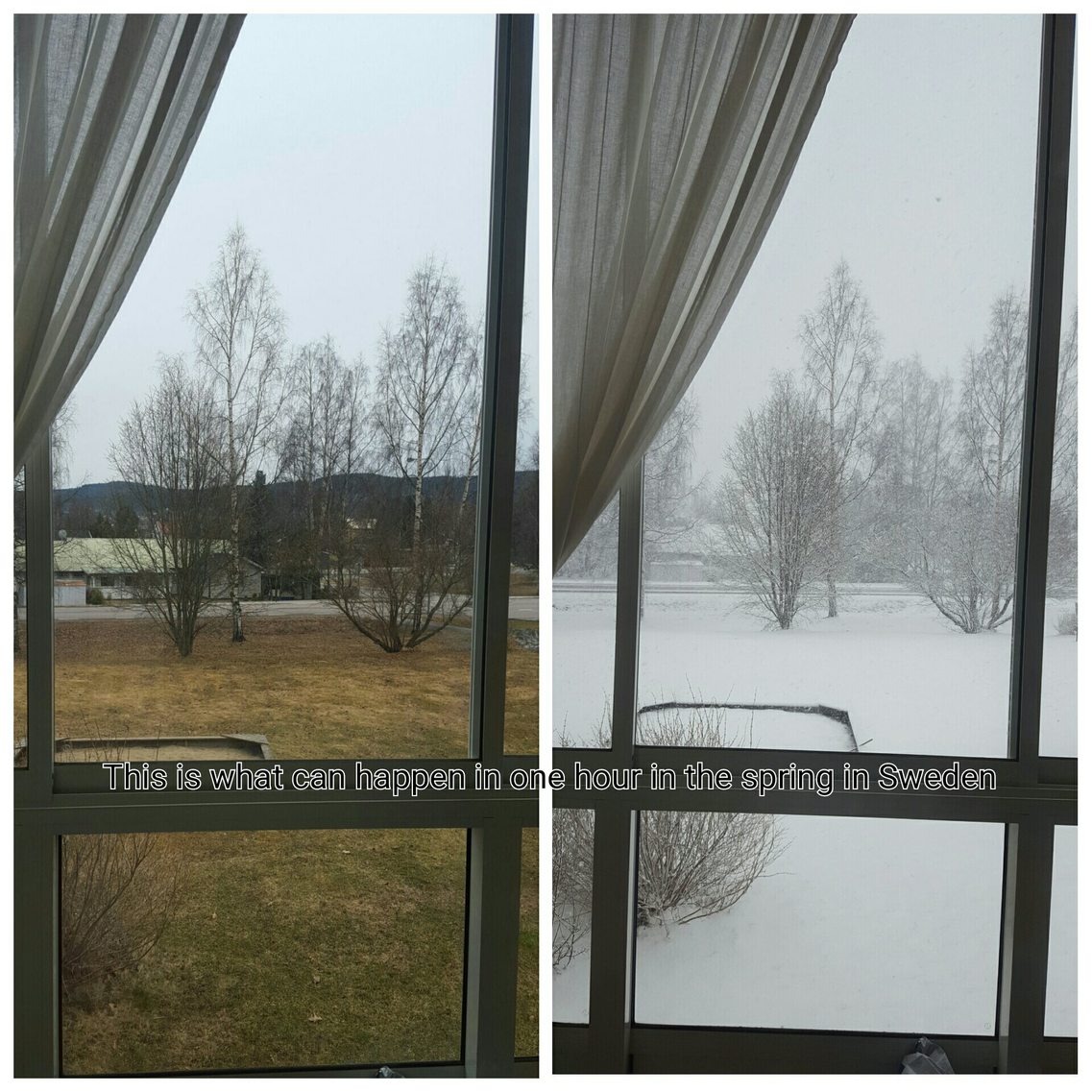 April in the north of Sweden - meme