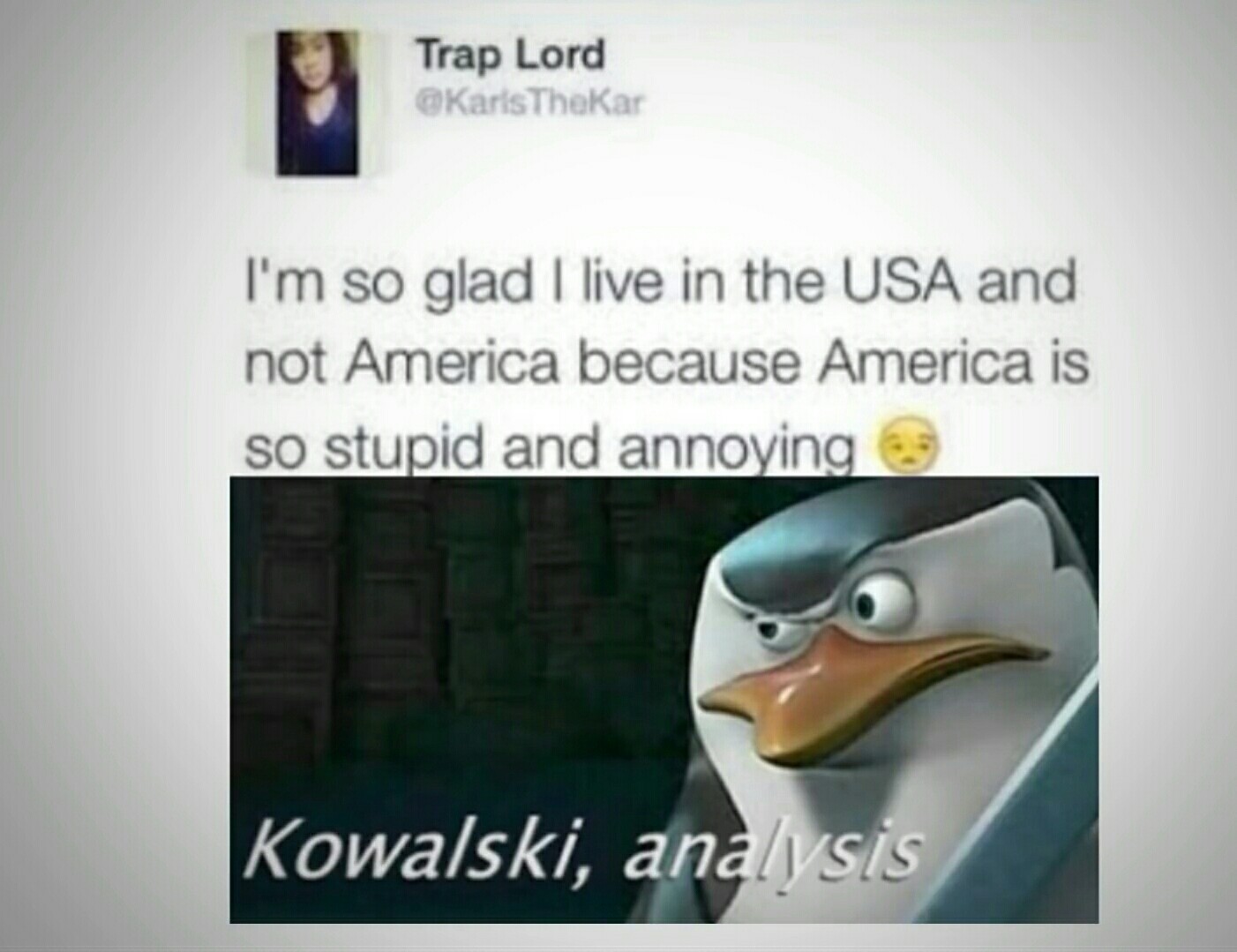 Why is kowalski anlysis dead? - meme