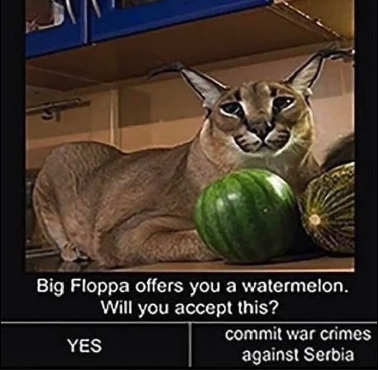 Big floppa - Meme by Destroxx :) Memedroid