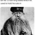 Cats in the beard