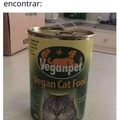 Gato vegano infeliz
